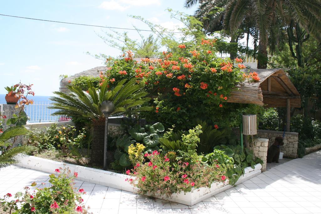 Hotel Villa Bina Sant'Angelo  Bagian luar foto