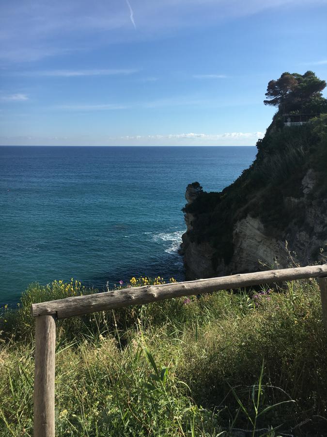 Hotel Villa Bina Sant'Angelo  Bagian luar foto